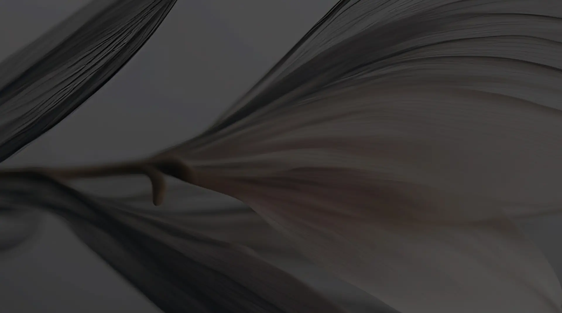 Close-up of abstract, wavy lines in shades of gray and brown, resembling flowing fabric or organic forms, set against a dark background.