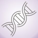 Gray outline illustration of a DNA double helix structure on a light purple background.